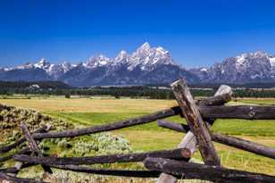 The Grand Tetons-7542.jpg